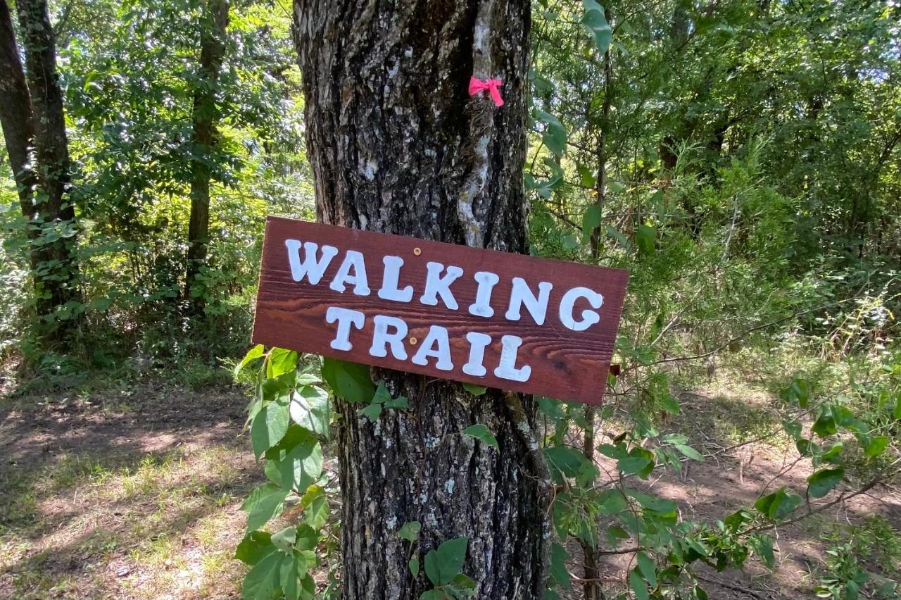 The Woods Lodging Kingston Bagian luar foto