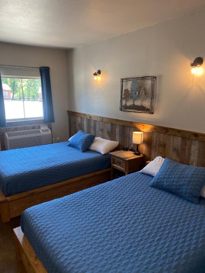 The Woods Lodging Kingston Ruang foto